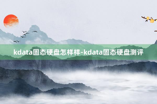 kdata固态硬盘怎样样-kdata固态硬盘测评